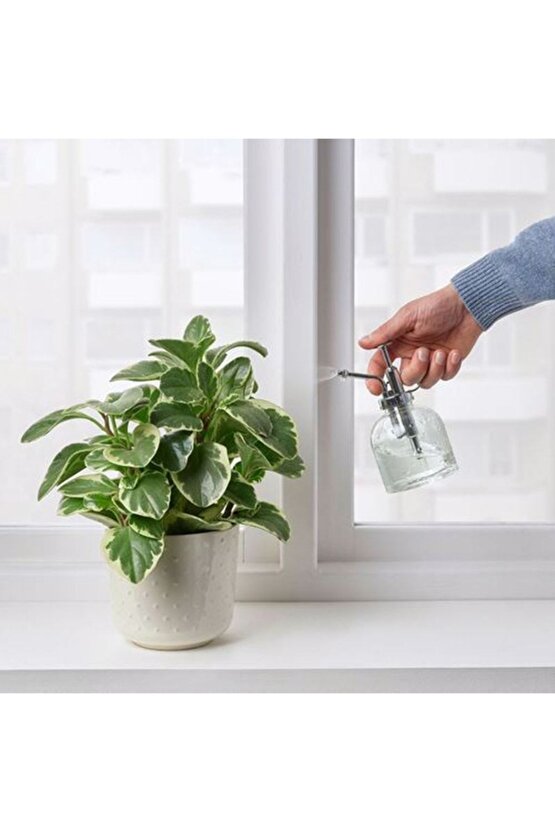 Sesamfrön Sprey Şişesi - Cam - 250 ml