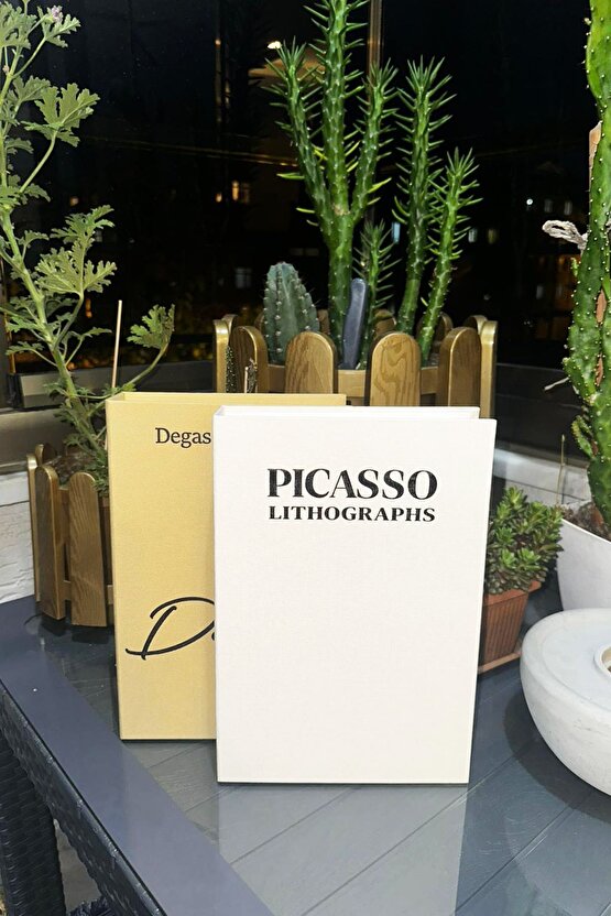 Kumaş Kaplı 2li Dekoratif Kitap Kutu Degas&Picasso