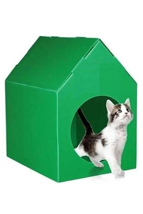 Yeşil Renk Kedi Köpek Evi Plastik Su Geçirmez