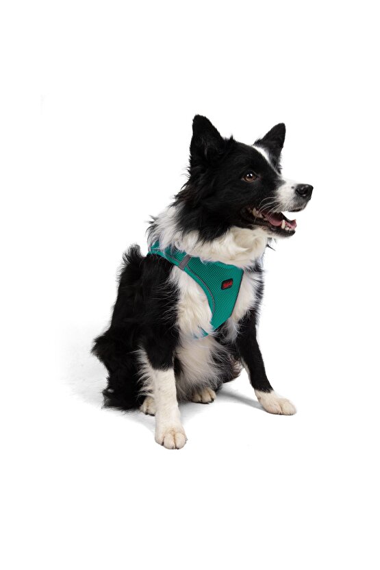Air-Mesh Küçük ve Orta Irk Kedi Köpek Göğüs Tasması - Yumuşak, Nefes Alabilir, Dayanıklı Yeşil