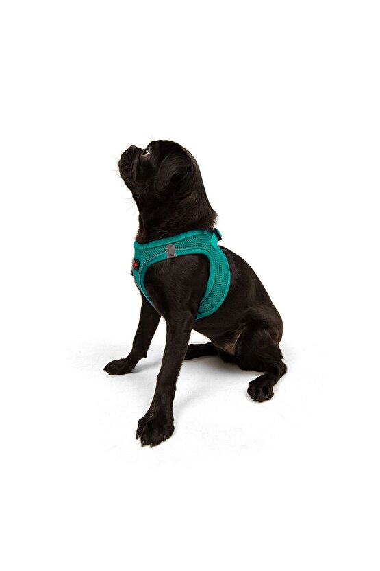 Air-Mesh Küçük ve Orta Irk Kedi Köpek Göğüs Tasması - Yumuşak, Nefes Alabilir, Dayanıklı Yeşil