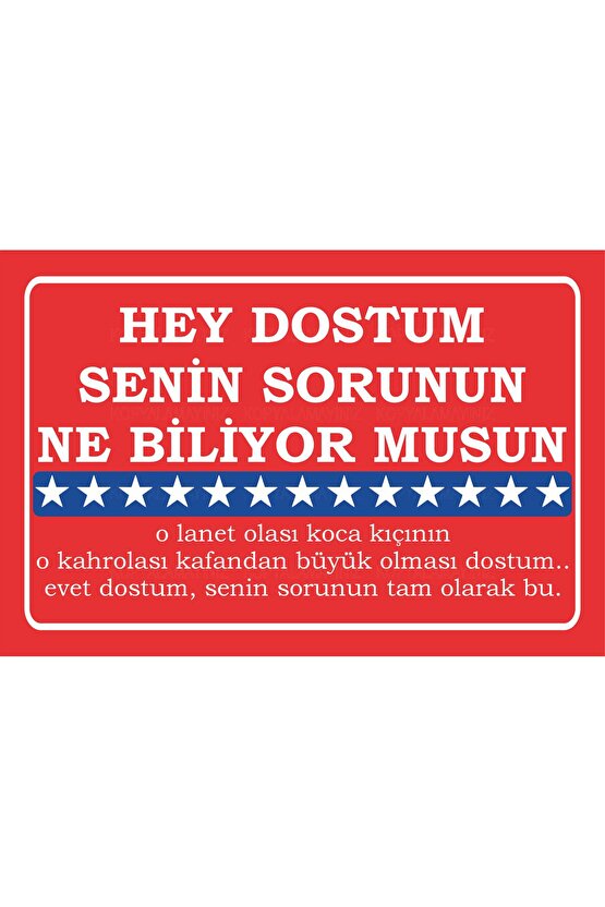 dostum senin sorunun ne biliyor musun amerikan filmleri meşhur replikler duvar yazıları ahşap poster