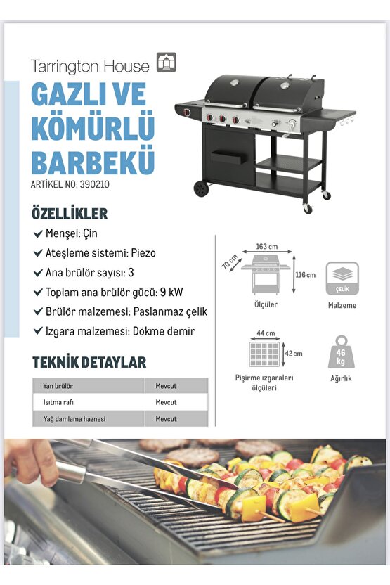 Gazlı ve Kömürlü Barbekü Mangal
