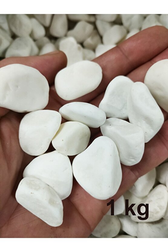 Beyaz Dolomit Taş Mobilya Dekoru 1 Kg 15-25mm Dere Çakıl Taşı Bahçe Süs Taşı Saksı