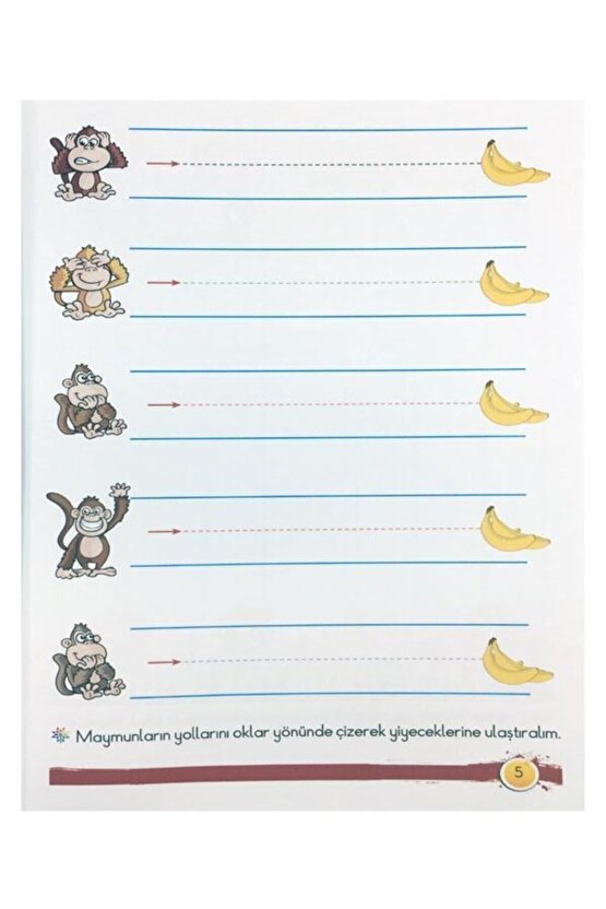 Çizgiler 4+