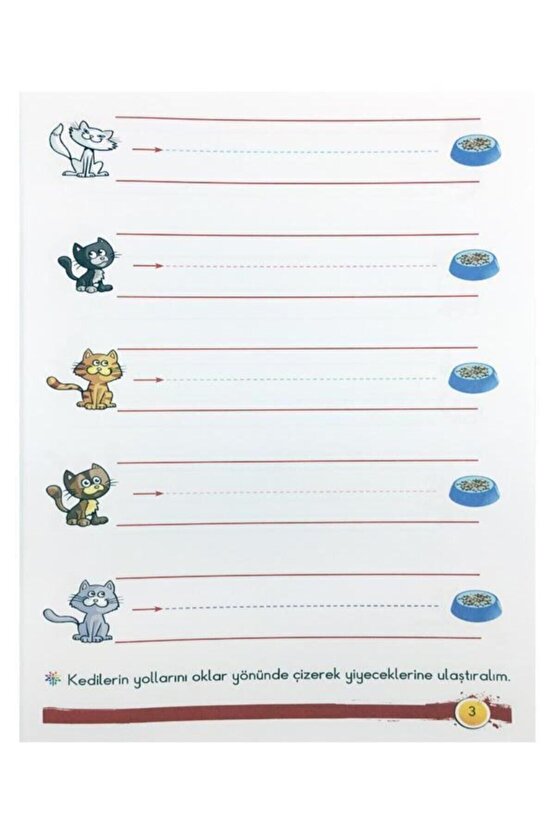 Çizgiler 4+