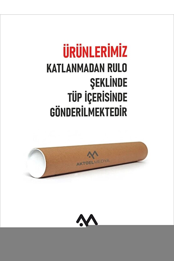 Matisse - Sanat - Soyut - Doğa - Ev - Yaşam ( 2 Li Çerçevesiz ) Poster - Afiş - Tablo NNHT866