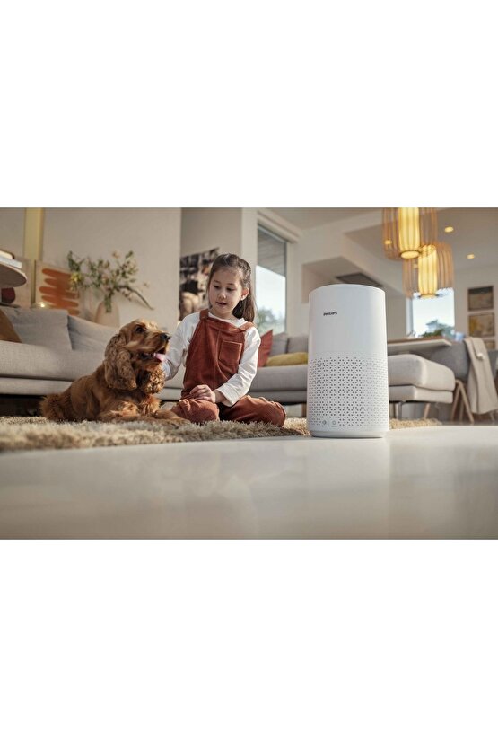 1000 Serisi Air Purifier Hava Temizleme Cihazı, 300 m3sa Temiz Hava Hızı, AC171110