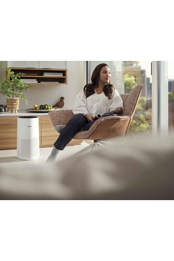 1000 Serisi Air Purifier Hava Temizleme Cihazı, 300 m3sa Temiz Hava Hızı, AC171110