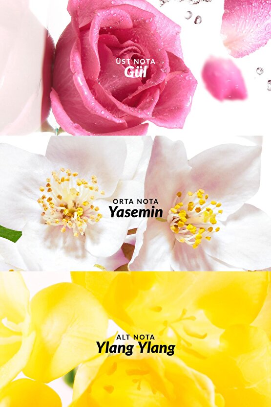 Soft Musk Kadın Parfüm Edt 50 Ml.