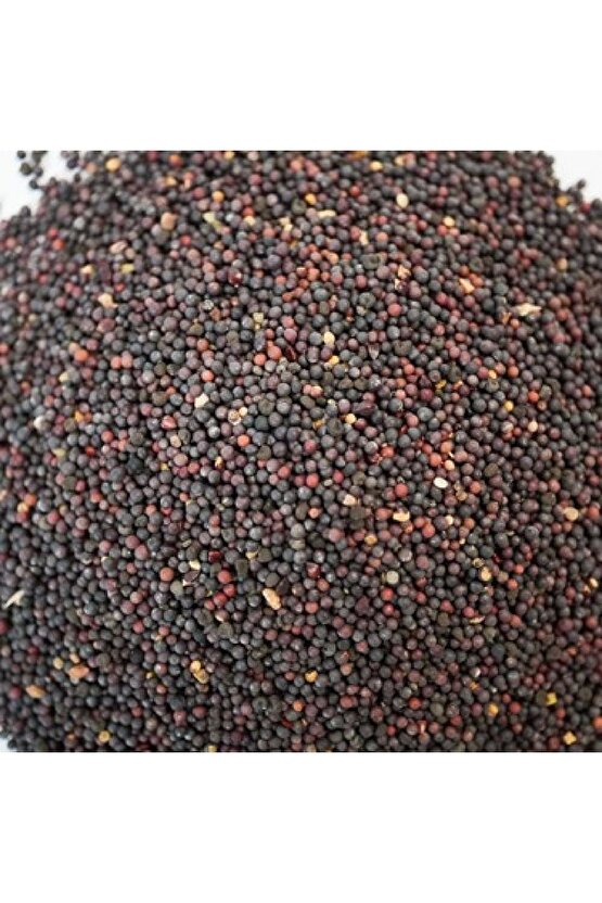 Siyah Hardal Tohumu 50 Gr,