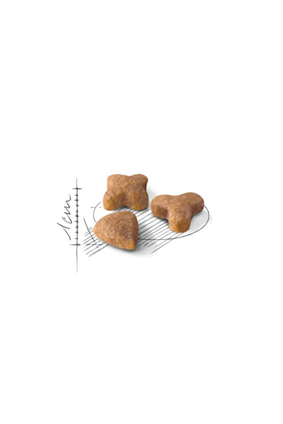 1Kg Vakumlu Fhn Sensible 33 Sindirim Hassasiyetli Kediler Için Kuru Mama - kısır olmayan