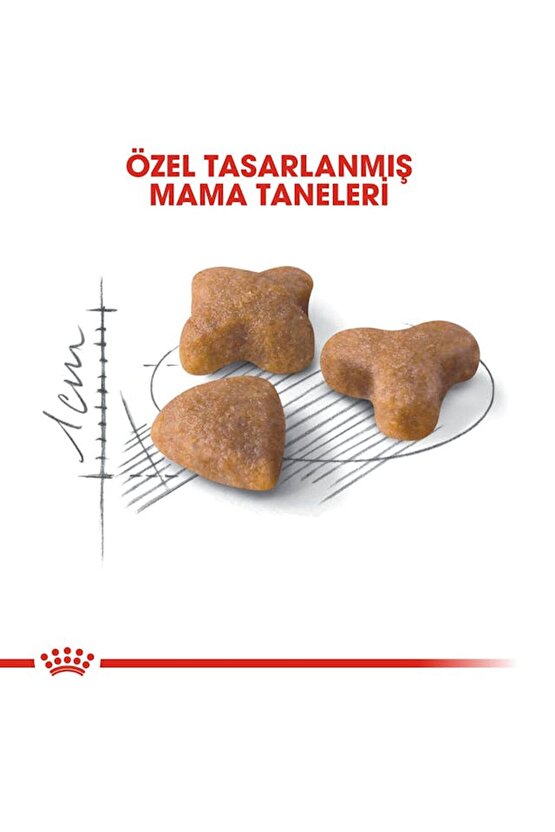 1Kg Vakumlu Fhn Sensible 33 Sindirim Hassasiyetli Kediler Için Kuru Mama - kısır olmayan