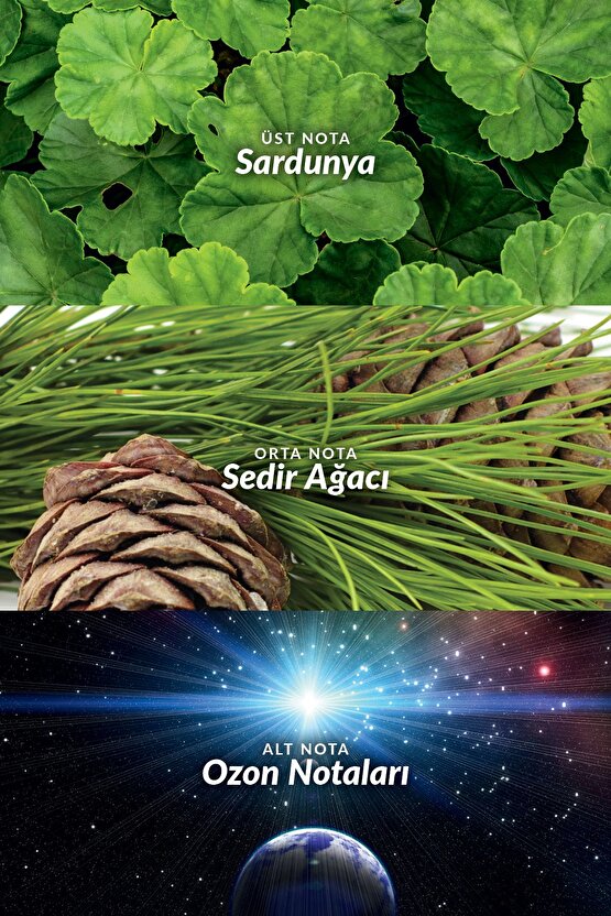 Full Speed Quantum Erkek Parfüm ve Saç Vücut Şampuanı Paketi