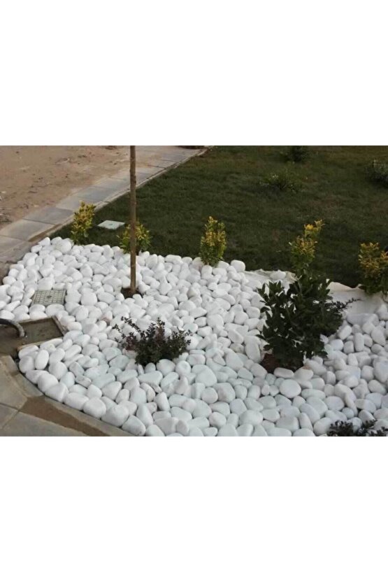 Beyaz Dolomit Taş 10 Kg 4-6 Cm Dekorotif Taş Bahçe Süs Taşı Loche