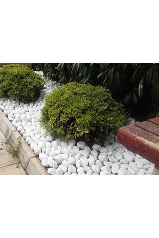 Beyaz Dolomit Taş 10 Kg 4-6 Cm Dekorotif Taş Bahçe Süs Taşı Loche