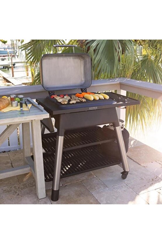 EV-E2G1GA FORCE GAZLI BARBEKU GRAFIT