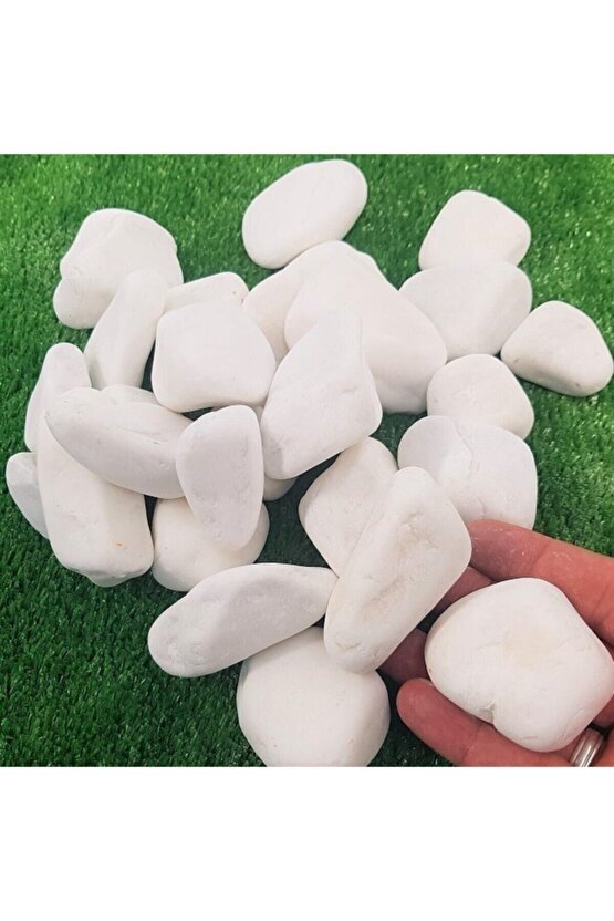 Dolomit Taş 25 Kg 2-4 Cm Beyaz Dolomit Taş Saksı Dibi Dekoratif Taş Bahçe Süsleme Taşı Peyzaj Taşı