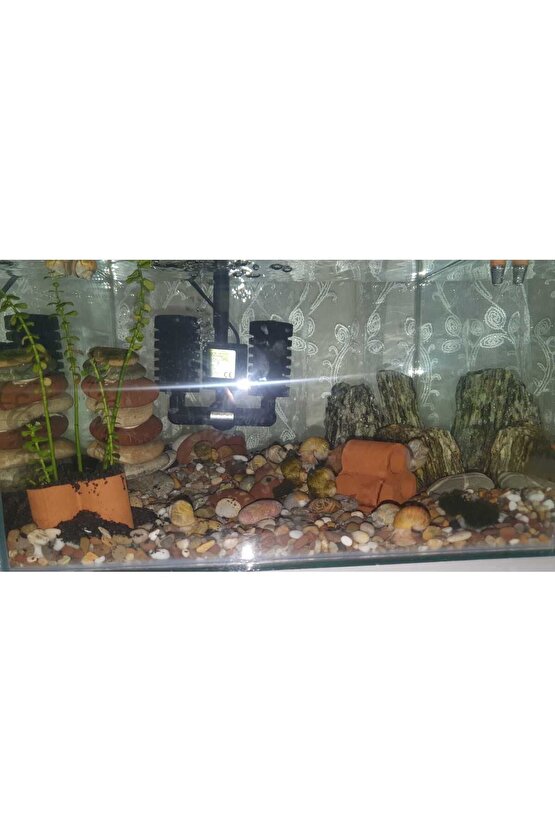Beyaz Taş 2 Kg 1-2 Cm Beyaz Dolomit Taş Dere Taşı Çakıl Taşı Bahçe Süs Taşı Akvaryum Teraryum Taşı