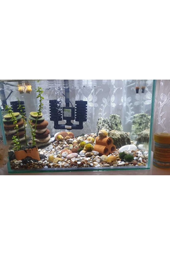 Beyaz Taş 2 Kg 1-2 Cm Beyaz Dolomit Taş Dere Taşı Çakıl Taşı Bahçe Süs Taşı Akvaryum Teraryum Taşı
