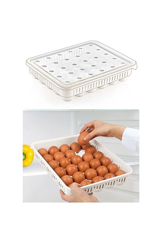 Yumurta Saklama Kabı 30lu 1 Adet, Steril Yumurtalık, Kapaklı Yumurta Organizeri