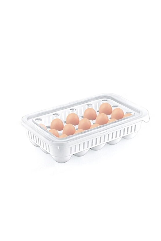 Yumurta Saklama Kabı 15li 2 Adet, Steril Yumurtalık, Kapaklı Yumurta Organizeri Bpa Free