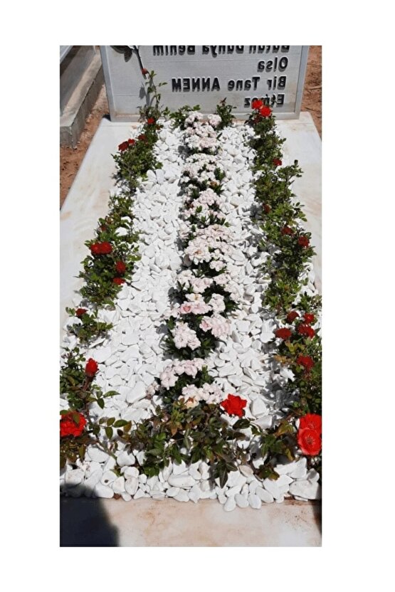 Mezar Taşı 5 Kg 1-2 Cm Beyaz Dolomit Taş Dere Çakıl Taşı Bahçe Süs Taşı Mezar Süsleme Taşı