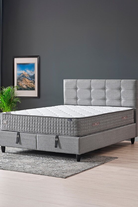 Mimoza Modeli Çift Kişilik Full Ortopedik Yataklı Sandıklı Baza Ve Başlık Takımı 3 Lü Set