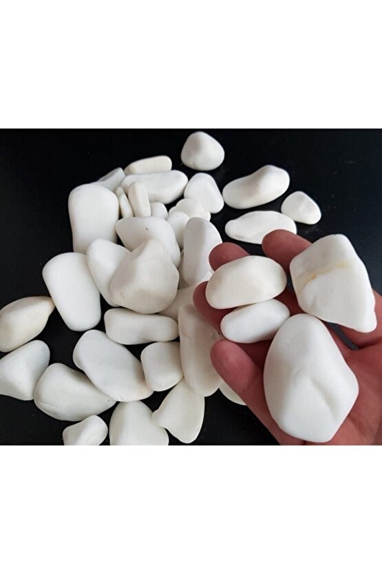 Beyaz Taş 10 Kg 2-4 Cm Beyaz Dolomit Taş Dere Taşı Çakıl Taşı Bahçe Süs Taşı Akvaryum Teraryum Taşı