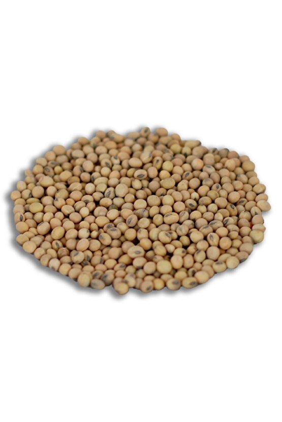 Sebze Tohumları Yerli Soya Fasulyesi Tohumu 100 gr