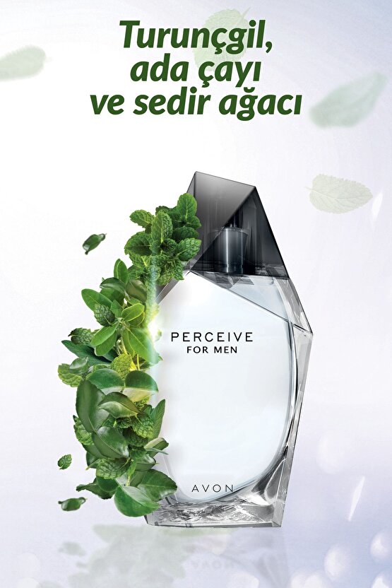 Perceive Erkek Parfüm Edt 100 Ml.