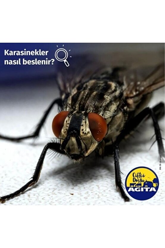 Agıta 10wg Kara Sinek Ilacı 100gr