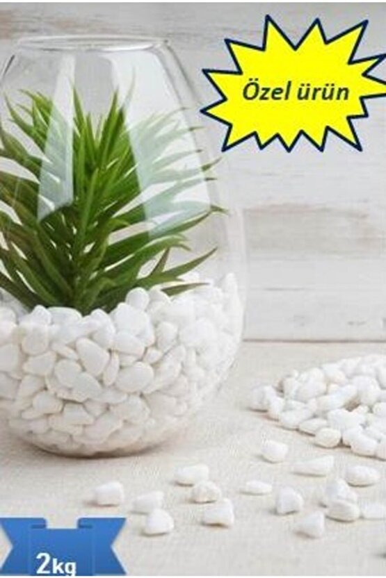 Dolomit Taşı ,akvaryum Taşı,dekoratif Taş Beyaz 0.5-1cm ,2kg