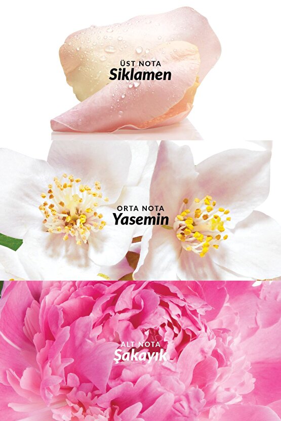 Celebre Kadın Parfüm Edt 50 Ml.