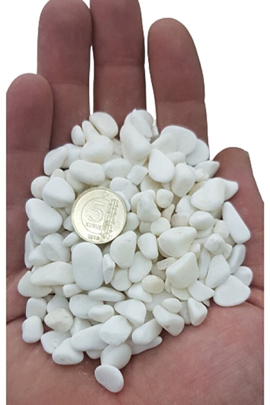 1 Kg Beyaz Dolomit Taş 0.5-1 Cm Akvaryum Taşı,çakıl Taşı Bahçe,saksı Taşı,sukulent,terraryum No.1m