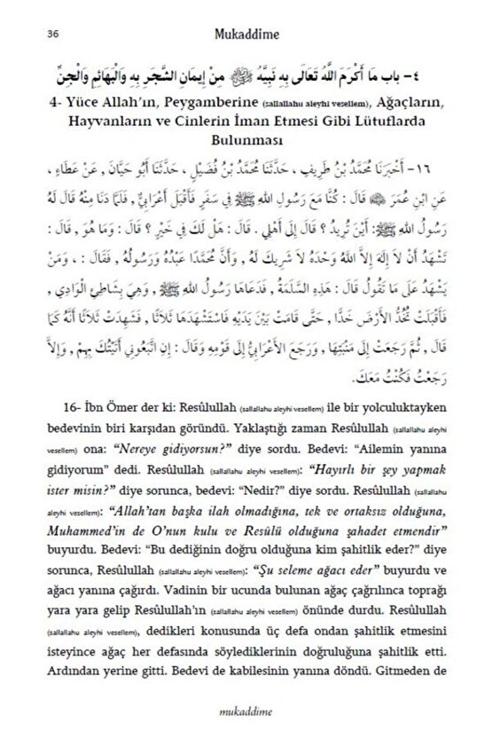 Hilyetul Evliya Ve Tabakatul Asfiyâ Ebû Nuaym Ahmed B. Abdullah El-isbehânî Ocak Yayıncılık