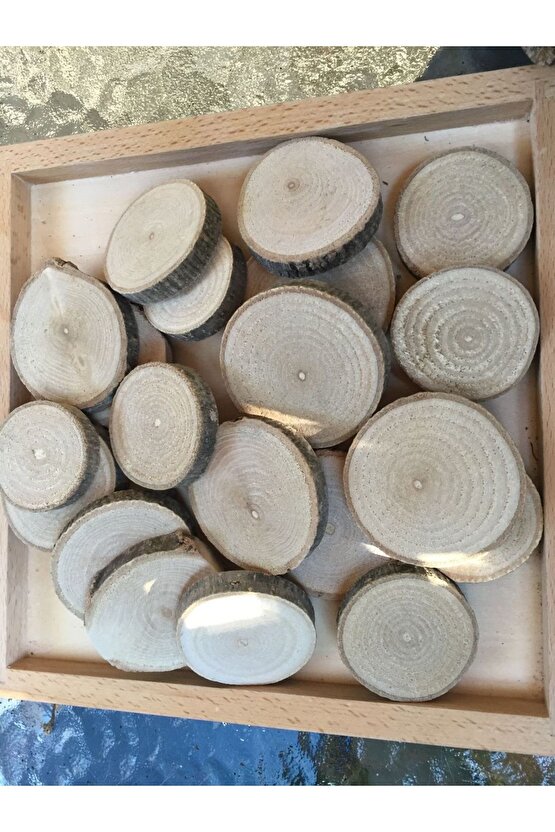 10 Adet Ahşap Meşe ve Çam Odun Dilimi Doğal Bardak Altlığı ve Okul Etkinlik ve Mumluk Çap: 6-10 cm