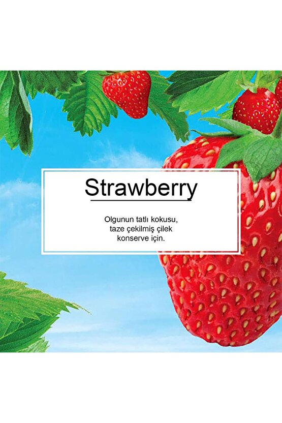 Strawberry Çilek Aromalı Oto Kokusu 3 Adet