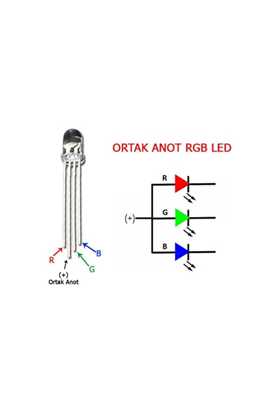 5 Adet 5mm Rgb Led (ortak Anot)