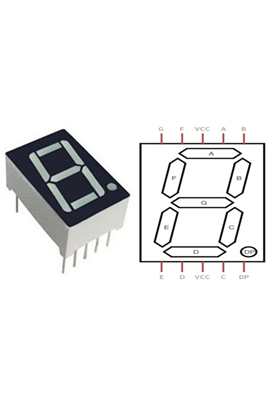 7 Segment Display