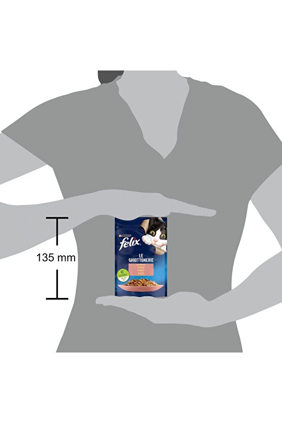 Pouch Somonlu Yetişkin Kedi Konservesi 85 gr