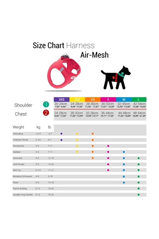 Köpek Göğüs Tasması Mor XSmall