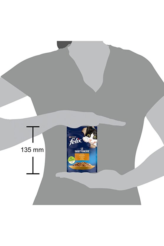 Tavuklu Yetişkin Kedi Pouch