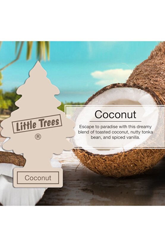 Little Trees Coconut (hindistan Cevizi) Oto Kokusu 3 Adet