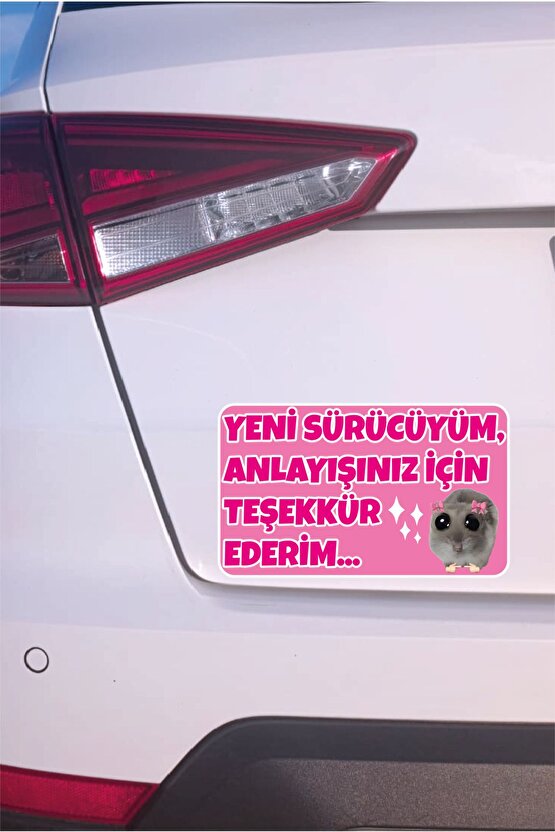 Acemi Sürücü Yeni Sürücü Sticker 22x13 Cm Su Geçirmez Sticker Araba Motor Duvar Cam Etiket Sticker