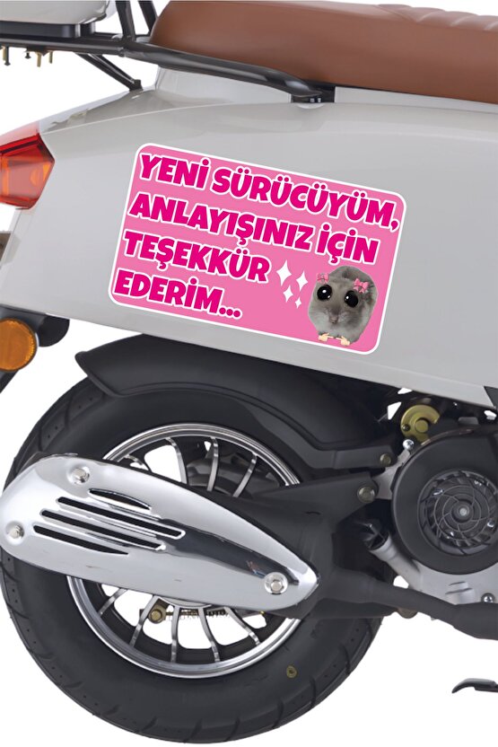Acemi Sürücü Yeni Sürücü Sticker 22x13 Cm Su Geçirmez Sticker Araba Motor Duvar Cam Etiket Sticker