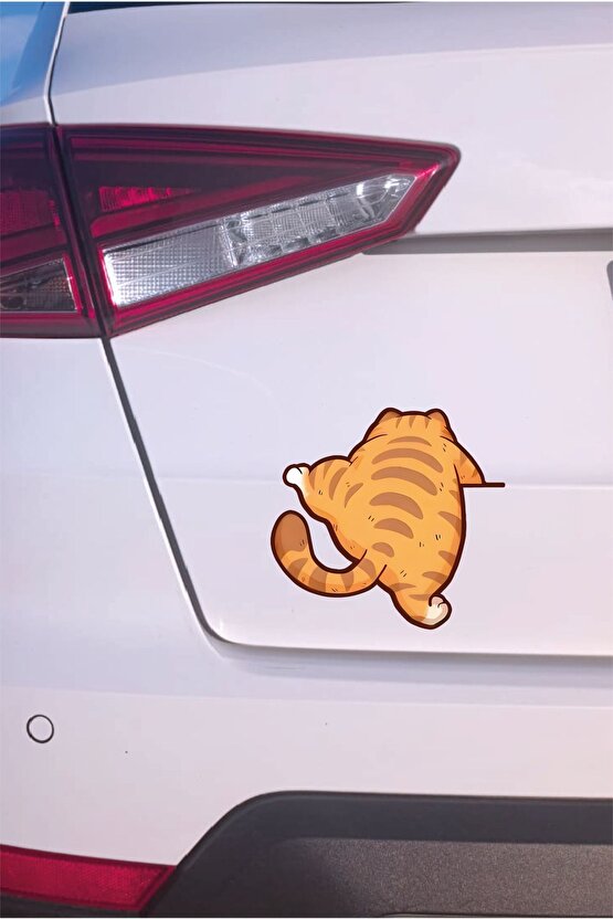 Tırmanan Kedi Sticker 14,2x13,5 Cm Su Geçirmez Yüksek Çözünürlüklü Araba Laptop Motor Kask Sticker