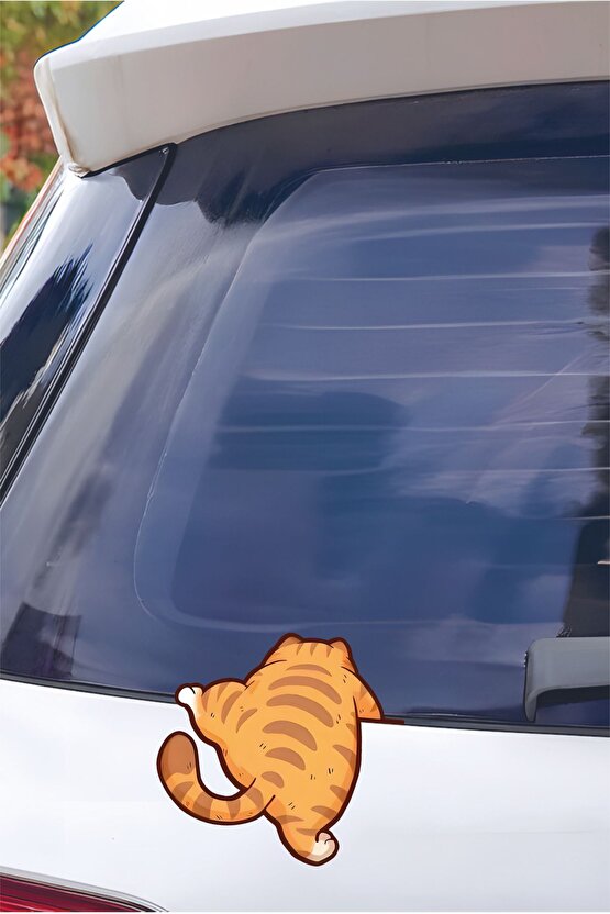 Tırmanan Kedi Sticker 14,2x13,5 Cm Su Geçirmez Yüksek Çözünürlüklü Araba Laptop Motor Kask Sticker