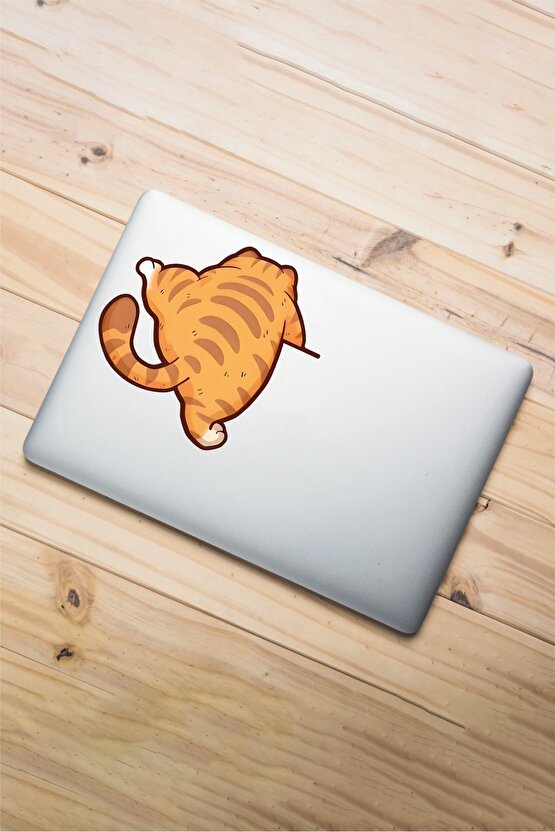 Tırmanan Kedi Sticker 14,2x13,5 Cm Su Geçirmez Yüksek Çözünürlüklü Araba Laptop Motor Kask Sticker