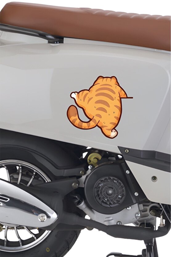 Tırmanan Kedi Sticker 14,2x13,5 Cm Su Geçirmez Yüksek Çözünürlüklü Araba Laptop Motor Kask Sticker